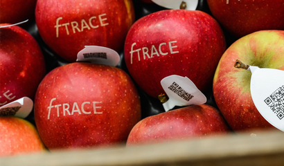 fTrace - Fotografie von Äpfeln (für Pressemeldung)