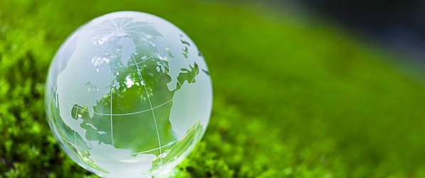 Eine Weltkugel aus Glas auf einer grünen Wiese symbolisiert Nachhaltigkeit