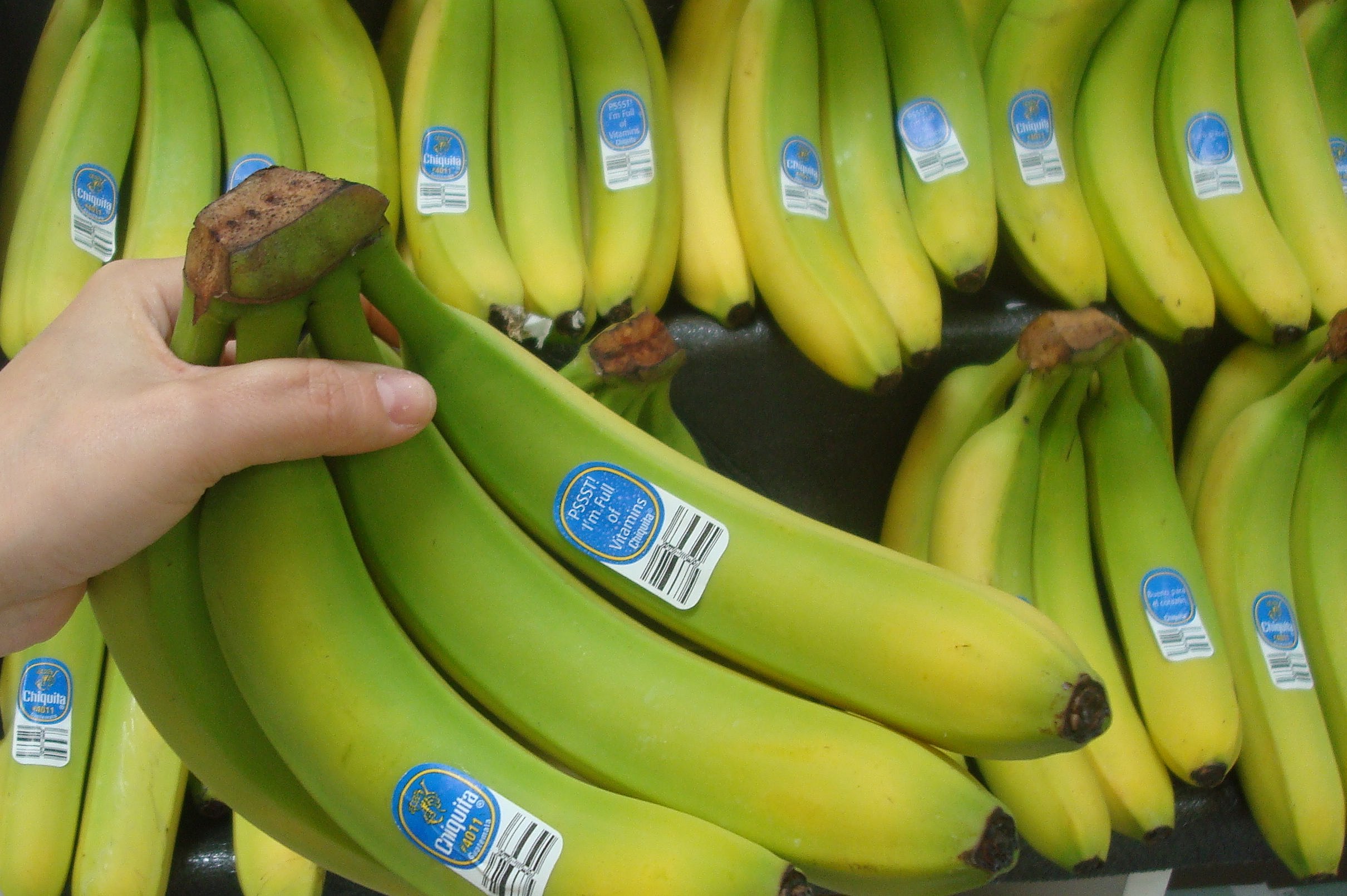 Hand hält Bananen, die mit GS1 DataBar gekennzeichnet sind 