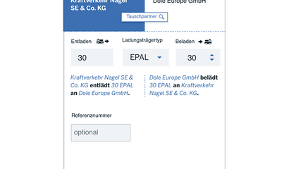 Screenshot SAP Palettentausch