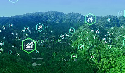 Bild zum Programm Data for Sustainability. Im Hintergrund sieht man grüne Natur, im Vordergrund befinden sich Symbole, die Daten widerspiegeln.